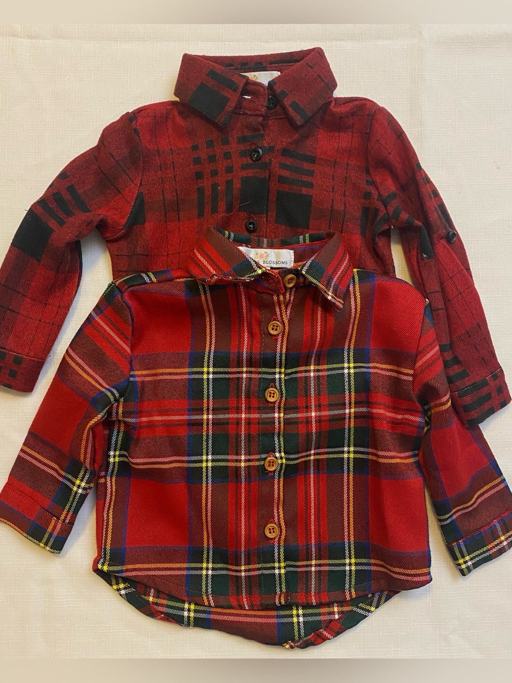 Two- Bailey’s Blossoms Long Sleeve Shirts
Baby Girls Size 3-6m